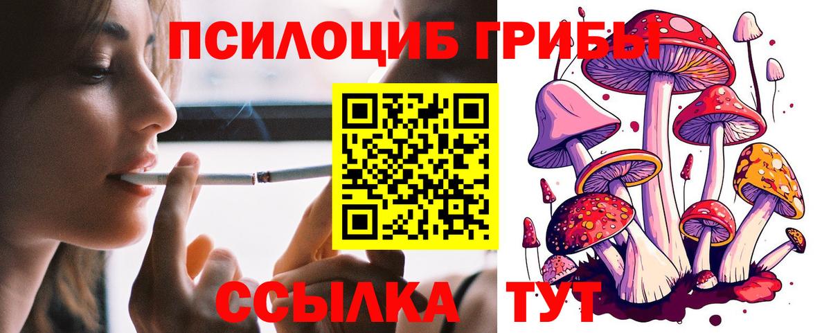 Псилоцибиновые грибы Psilocybe  Вход с VPN  Тверь 